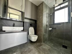 Irwell Hill Residences (D9), Apartment #455496741